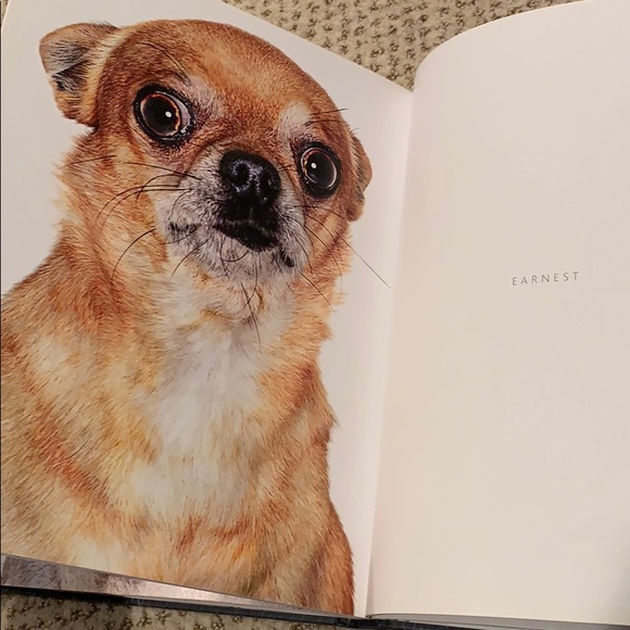 Coffee table book. Dog days. Hardcover. - Picture 3 of 4